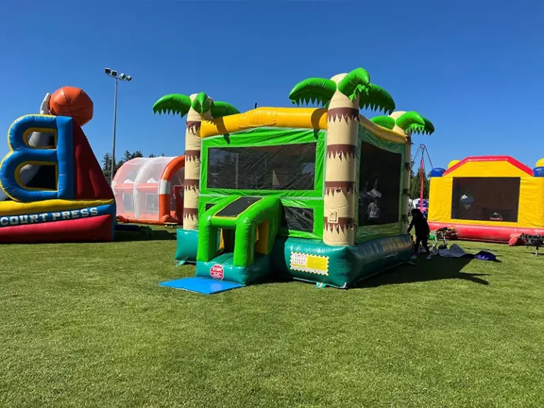 Commercial Tropical Bounce House of China Inflatable Factory, Bounce Horizon