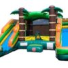 16ft Palm Tree Combo with Dual Lane Slides (3)