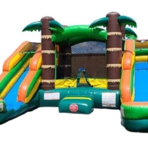 16ft Palm Tree Combo with Dual Lane Slides