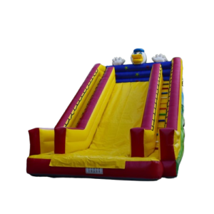 Main view of the 18ft Donald Duck Dry Slide