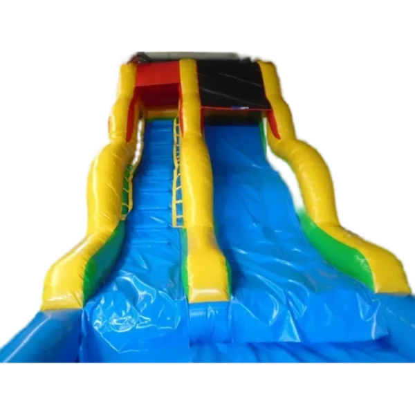 dolphin sea water slide (2)