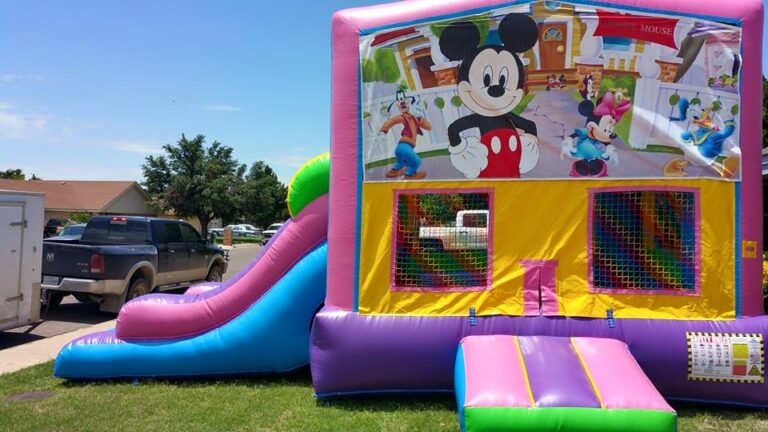 Bounce House Rental Market Share: Complete Industry Analysis 2024