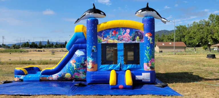 pros-and-cons-bounce-house-business-2024